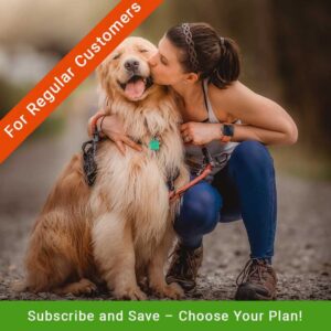 Subscription-based Dog Daycare Service in Fort Lauderdale